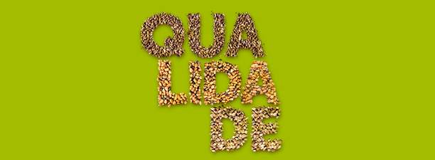 Quando qualidade é sinônimo de lucratividade