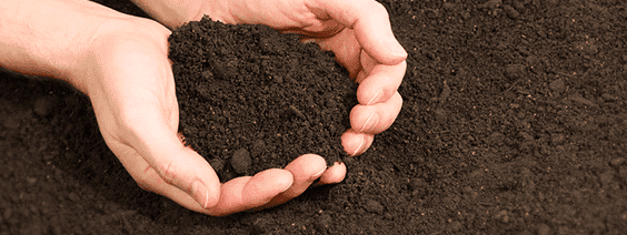 Preparo de solo para pastagem