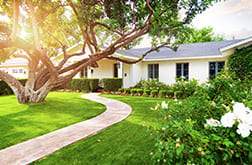 Foto campos e gramados Pró Sementes