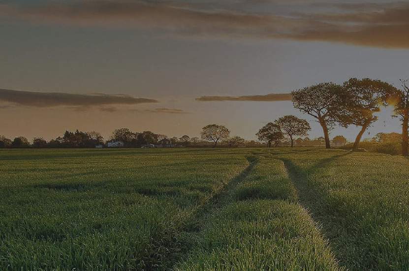 Foto Sobre Nós Pró Sementes